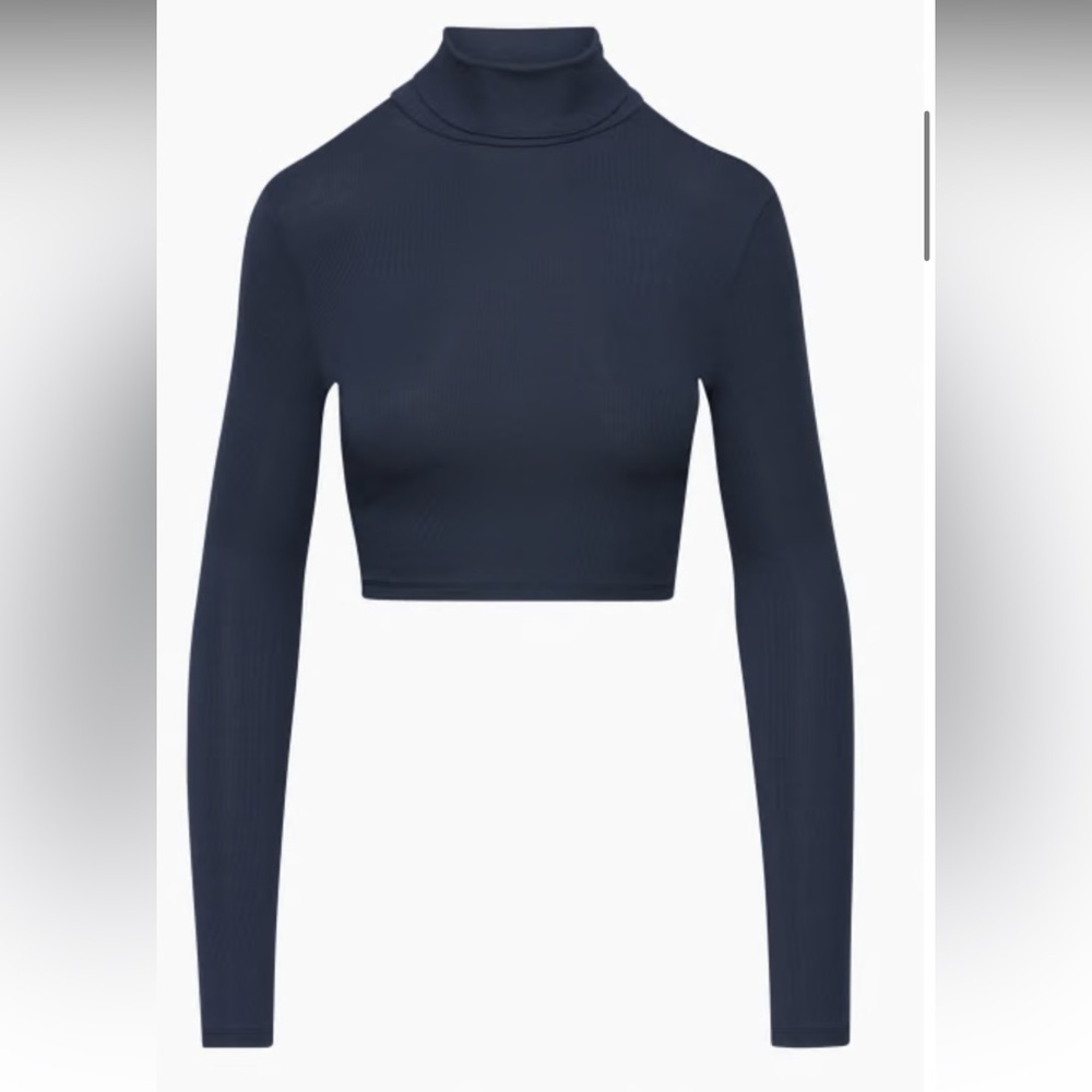 Aritzia Freshman Cropped Turtleneck